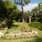 Asparano 4*