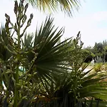 Asparano 4* Ognina