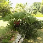 Bed & Breakfast Asparano