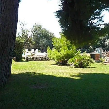 Asparano
