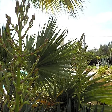 Asparano 4* Ognina