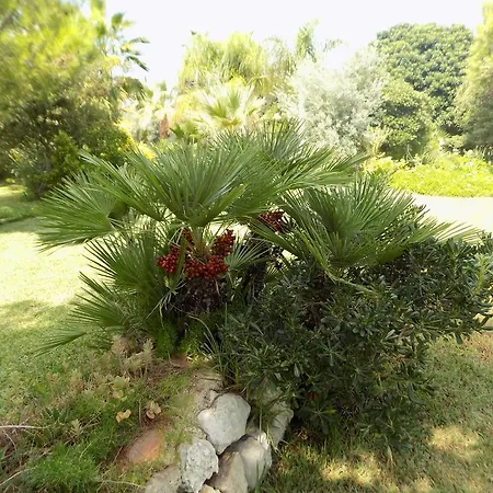 Bed and breakfast Asparano