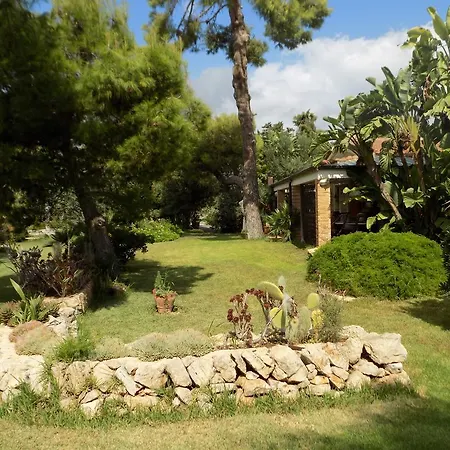 Asparano 4*