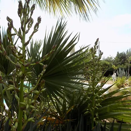 Asparano 4* Ognina