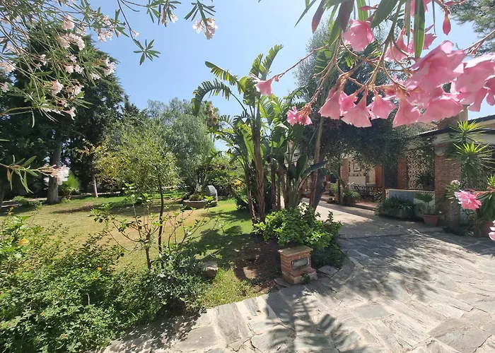 住宿加早餐酒店 Asparano 4*