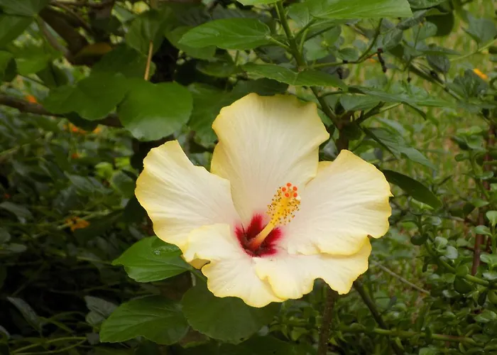 Asparano Bed and breakfast 4*