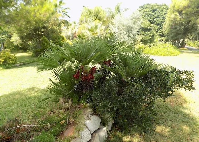 Bed & Breakfast Asparano